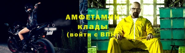 шишки Богородицк