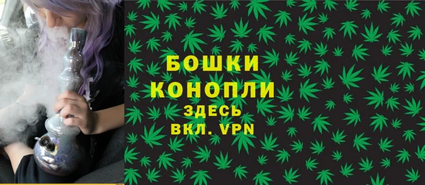 шишки Богородицк