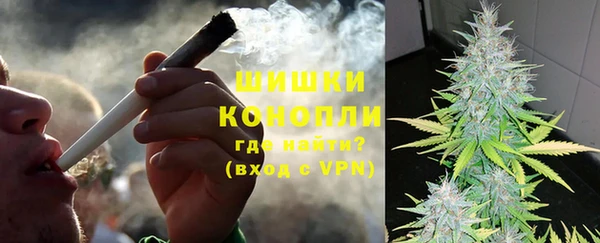 эйфоретик Белокуриха